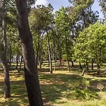 Pelegrin Plava Laguna (adults Only) 4* Umag