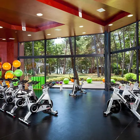 Szálloda Pelegrin Plava Laguna (adults Only) 4*