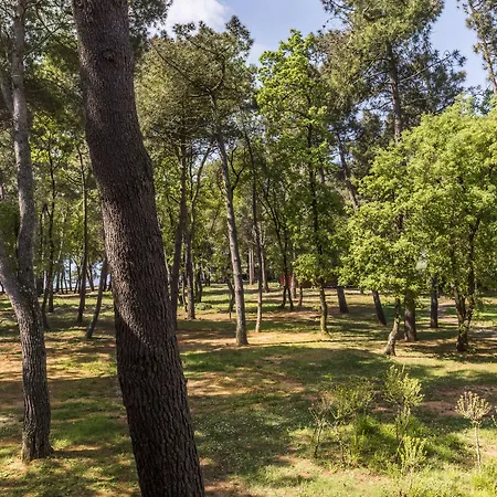 Pelegrin Plava Laguna (adults Only) 4* Umag