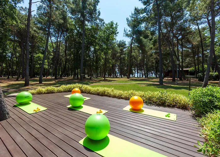 Hotel Pelegrin Plava Laguna (adults Only) 4*