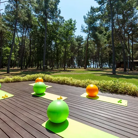 Szálloda Pelegrin Plava Laguna (adults Only) 4*
