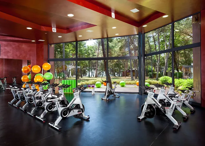 Отель Pelegrin Plava Laguna (adults Only) 4*