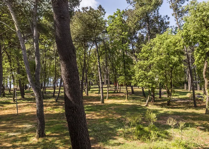 Pelegrin Plava Laguna (adults Only) 4* Умаг
